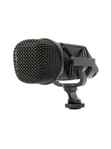 stereovideomic